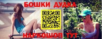 тгк Будённовск