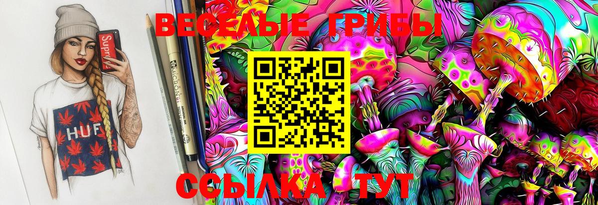 Псилоцибиновые грибы MAGIC MUSHROOMS  Вход с VPN  Балтийск  Псилоцибиновые грибы MAGIC MUSHROOMS 